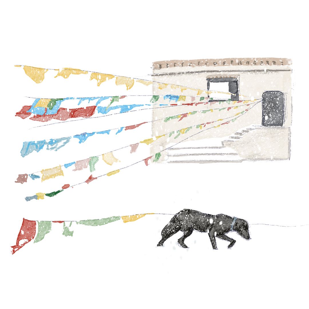 Illustration image 3