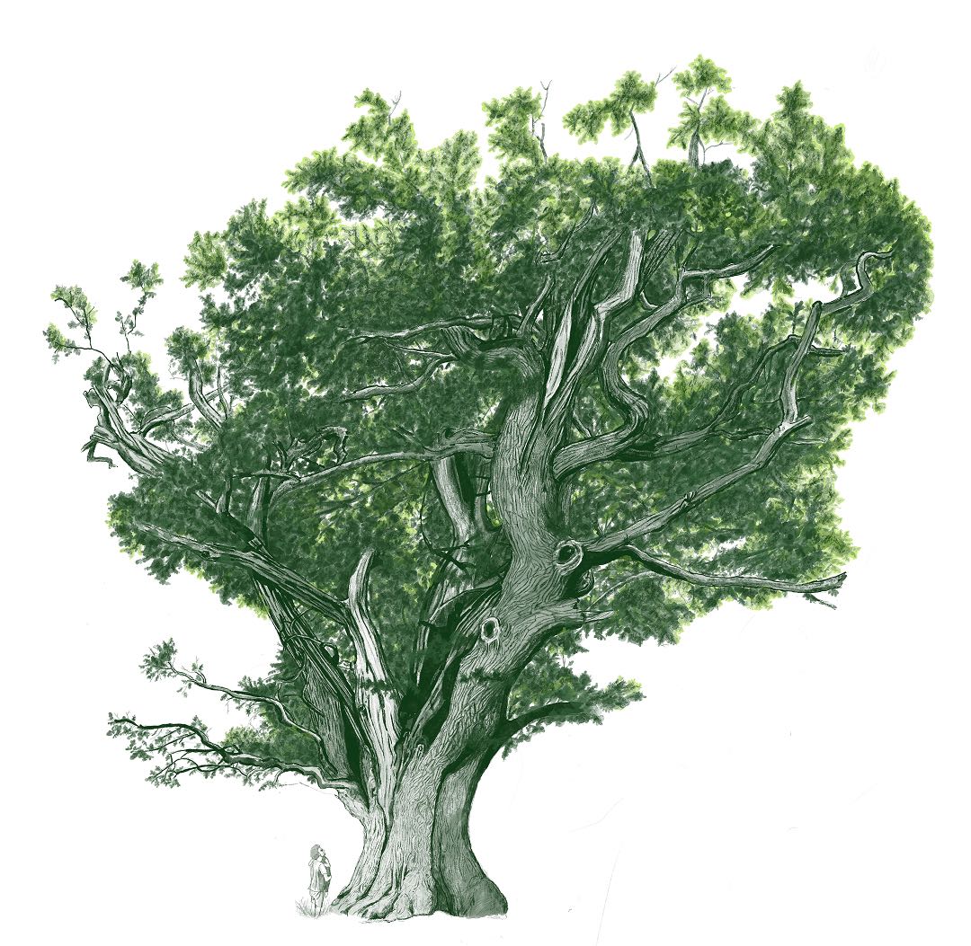 Illustration image 4