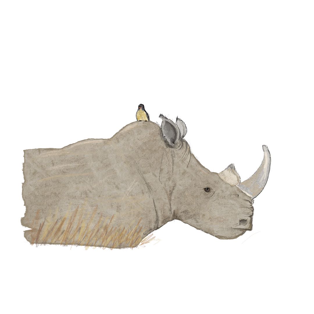 Illustration image 8