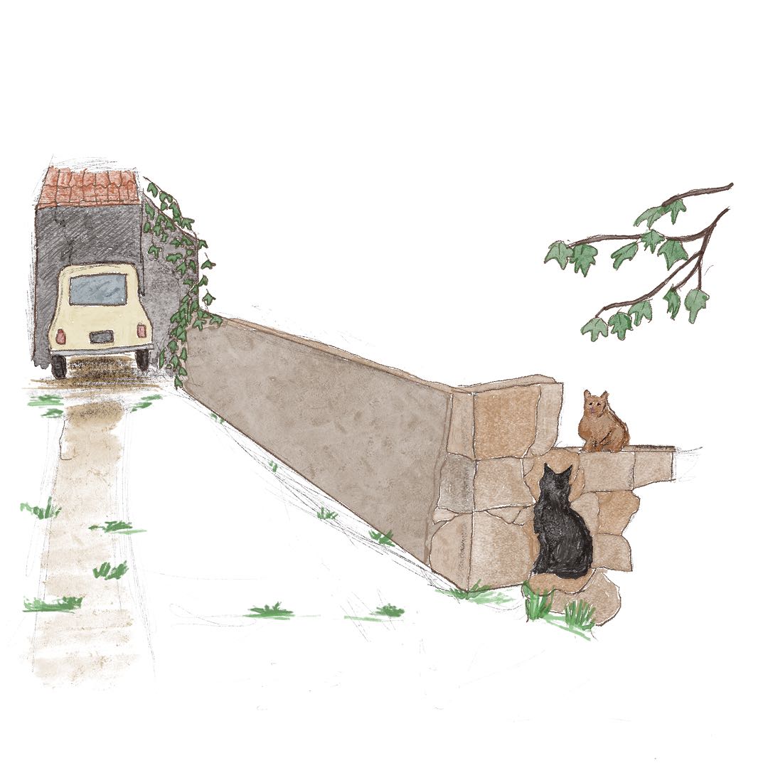 Illustration image 11