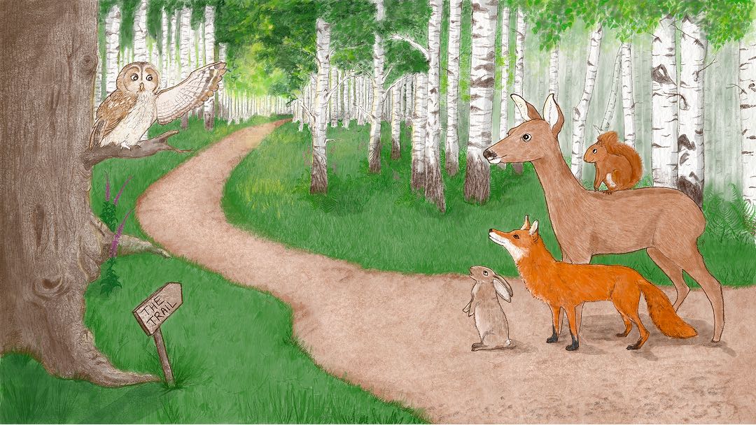 Illustration image 16