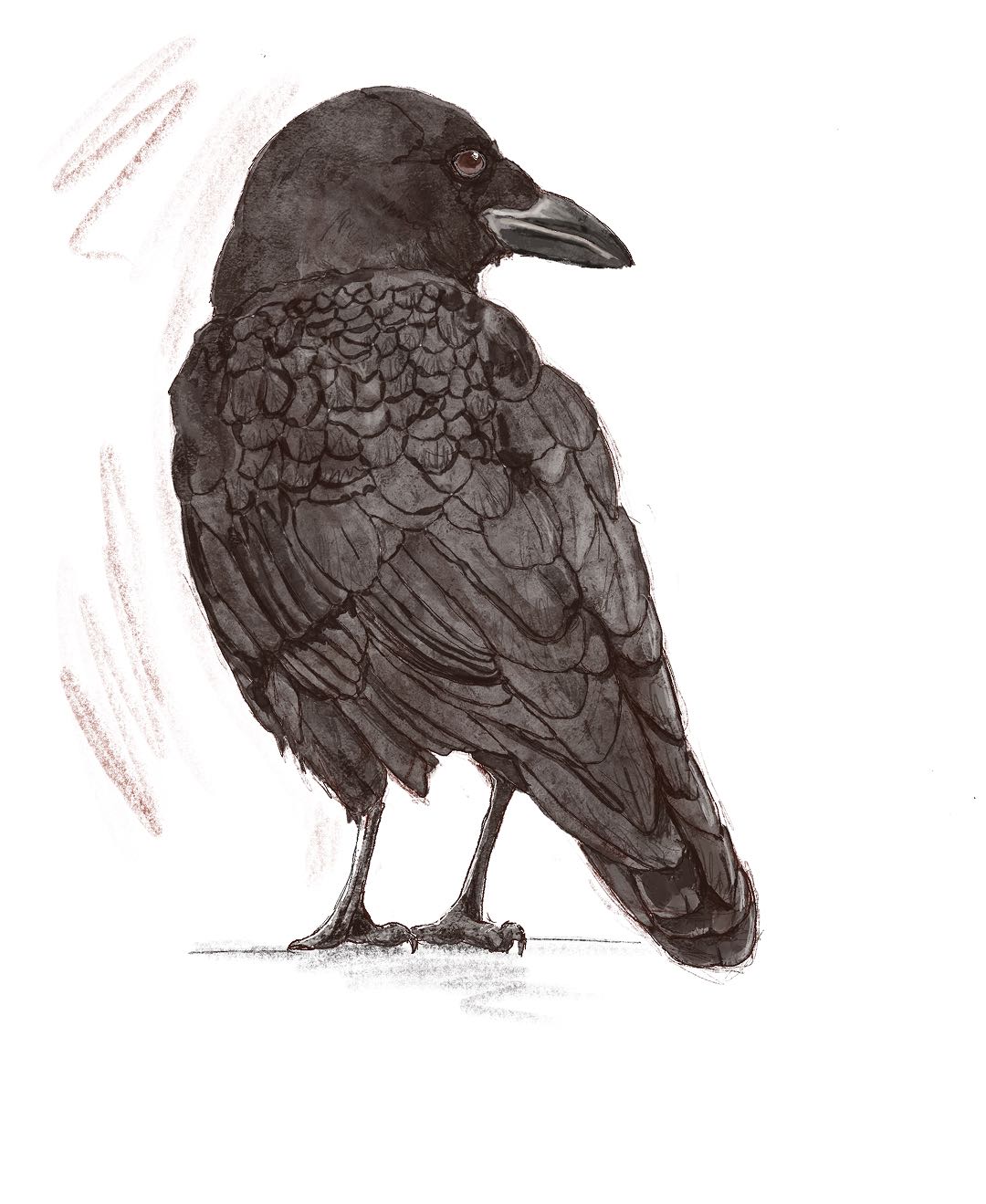 Illustration image 17