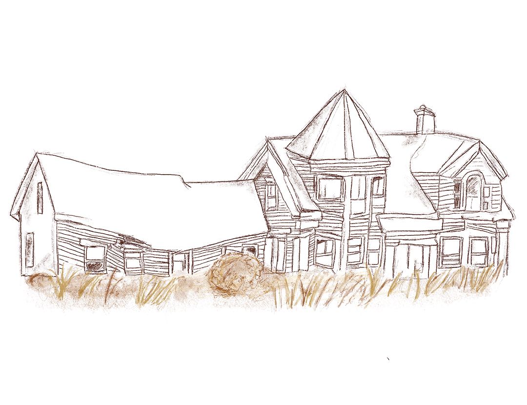 Illustration image 19