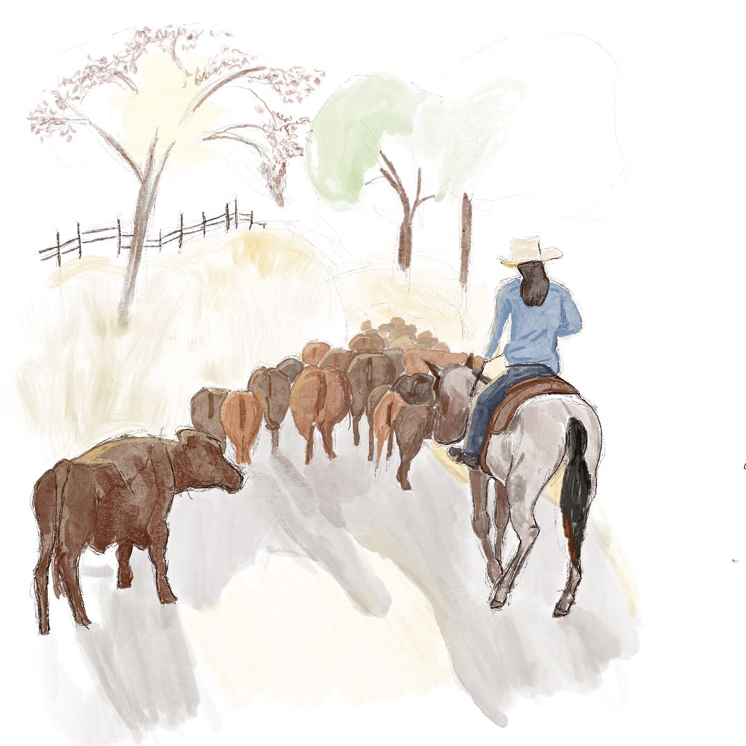 Illustration image 20