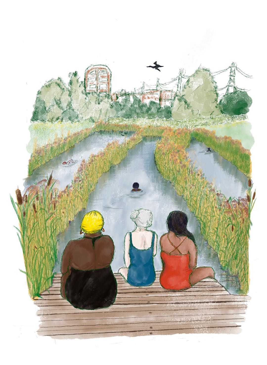 Illustration image 21