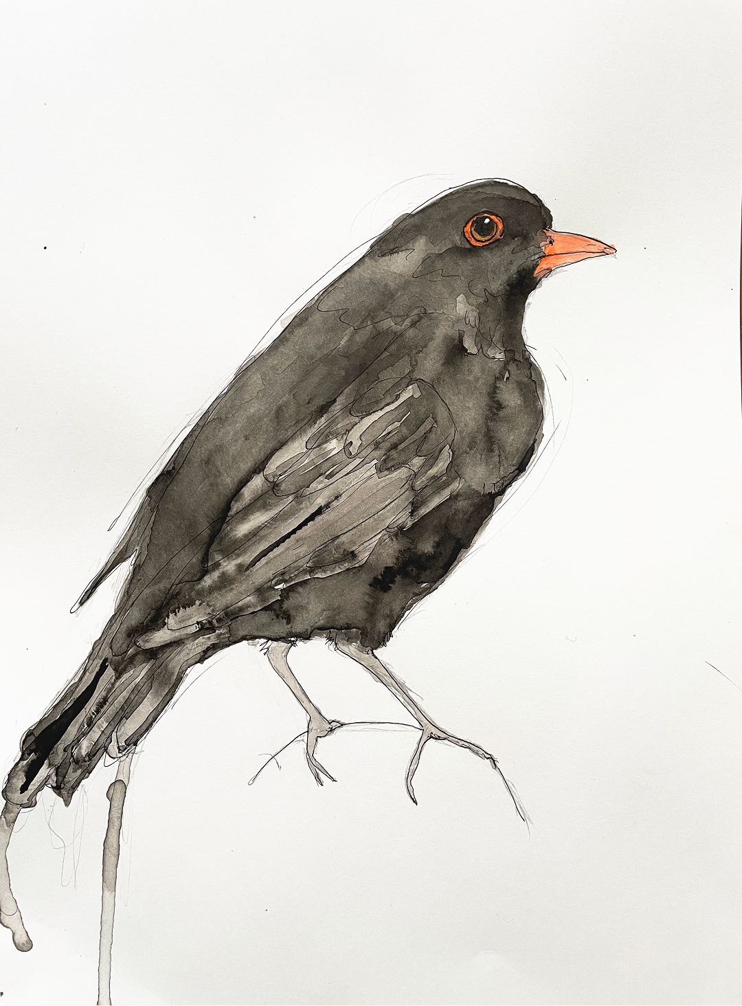 Illustration image 25