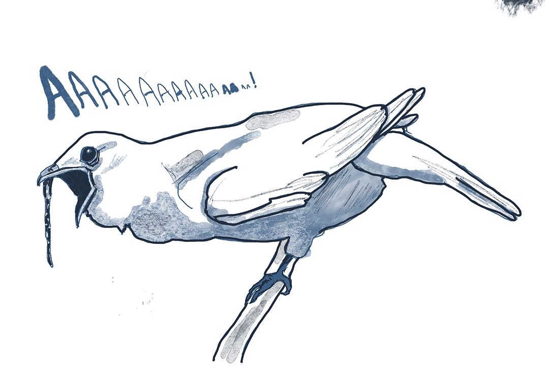 Illustration image 26