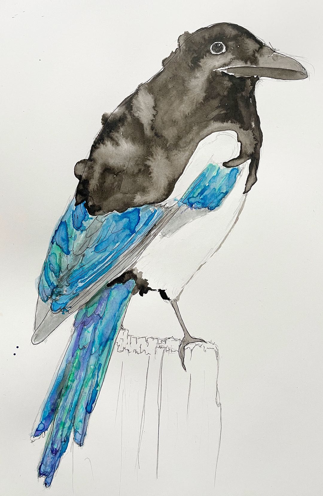 Illustration image 29